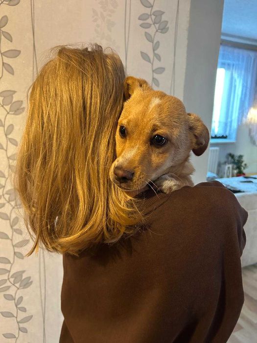 Oddam w dobre ręce !!!