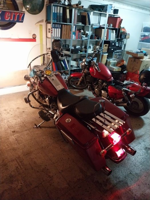 Road King vendo contrariado