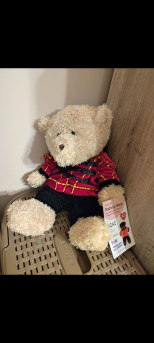 Miś Adaś podaruj misia 2025