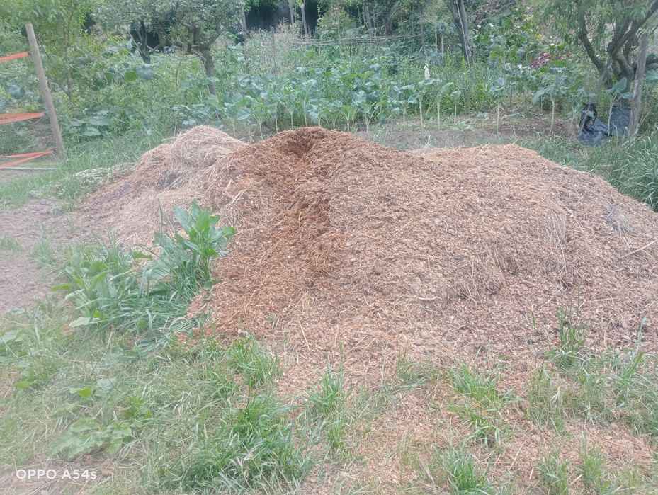 Estrume de  cavalo