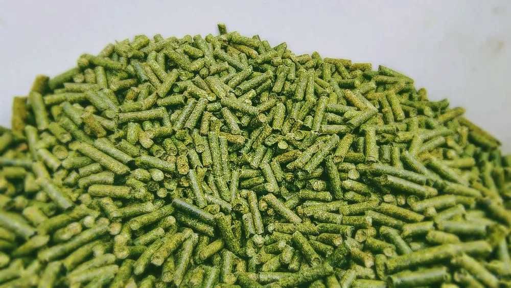 Lucerna Granulowana Karma Dla Kóz Koni Apak Lam 20KG