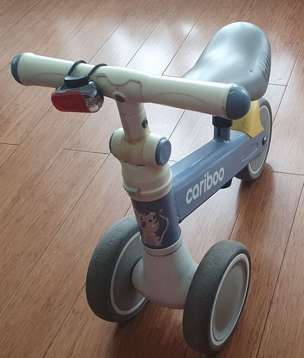 Rowerek Cariboo dla dziecka