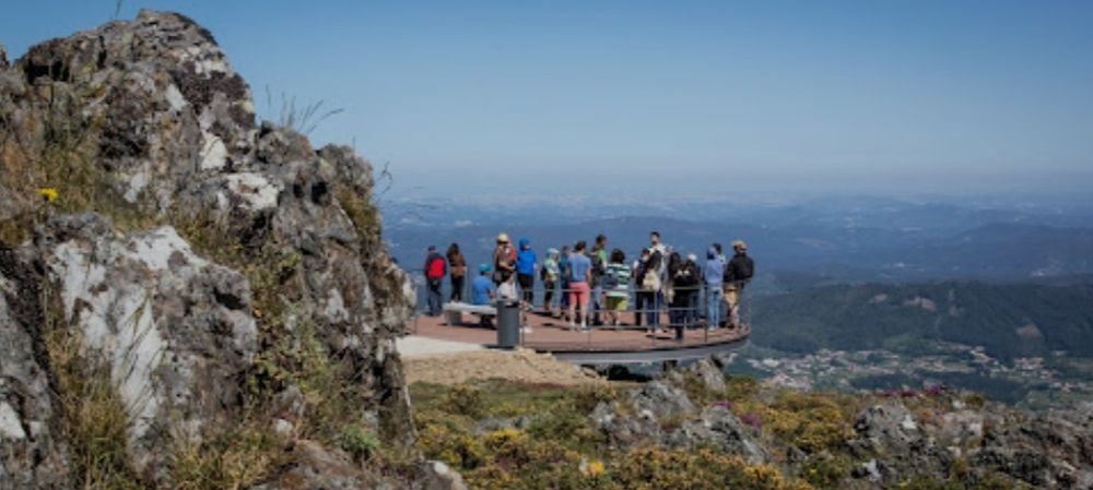 Motorista particular turismo