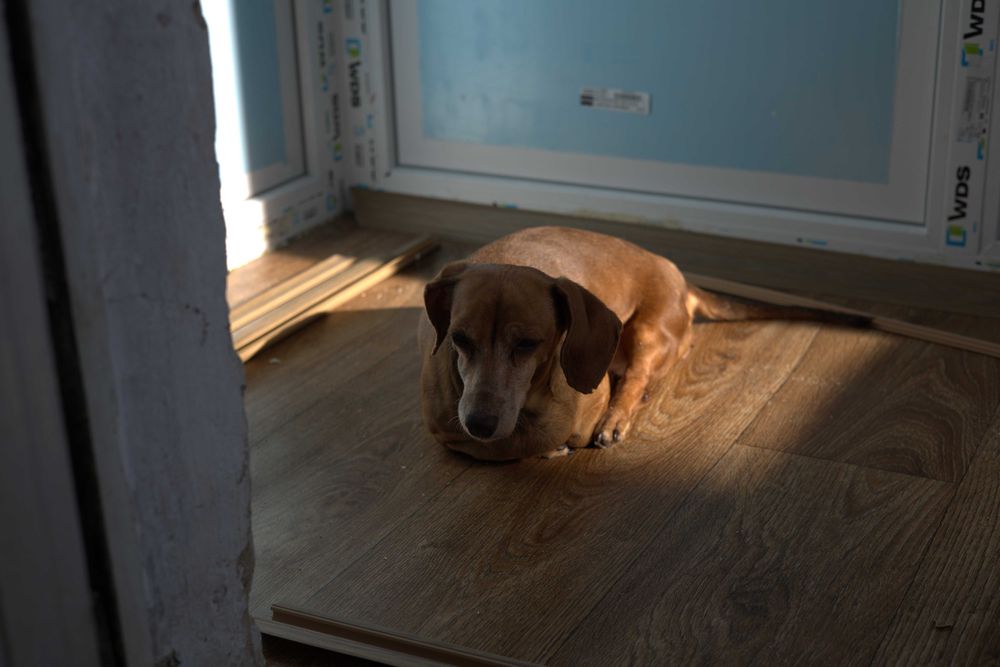 Canon r8 + об'єктив canon 35mm