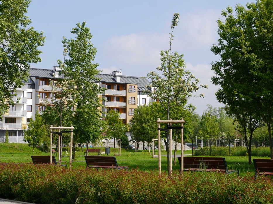 Wrocław, Krzyki, Gaj, Kłodzka - 2 pokoje, wynajem, rozkład, bud. 2019