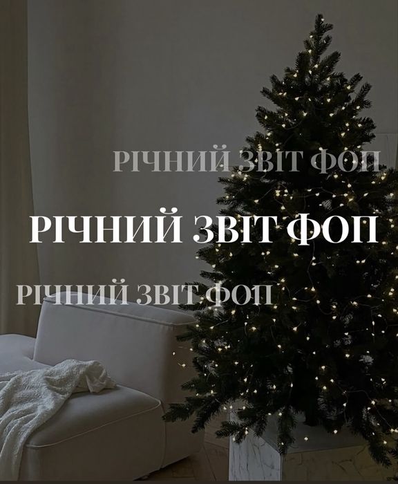 Річна звітність для ФОП