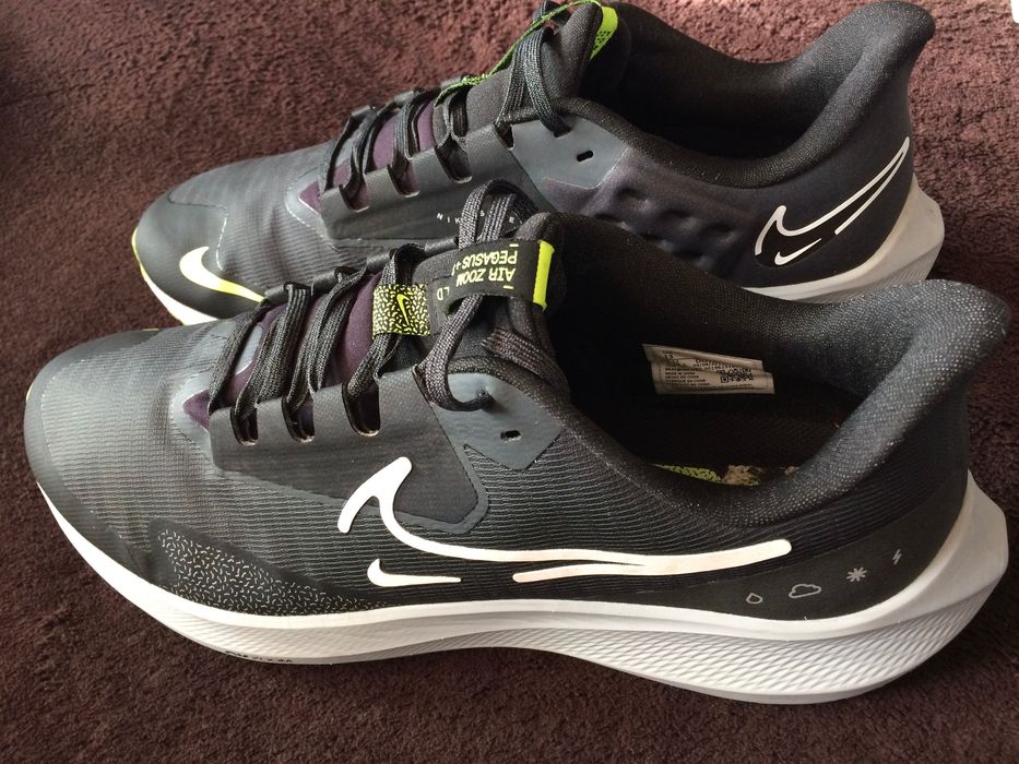 Nike Pegasus 39 Shield