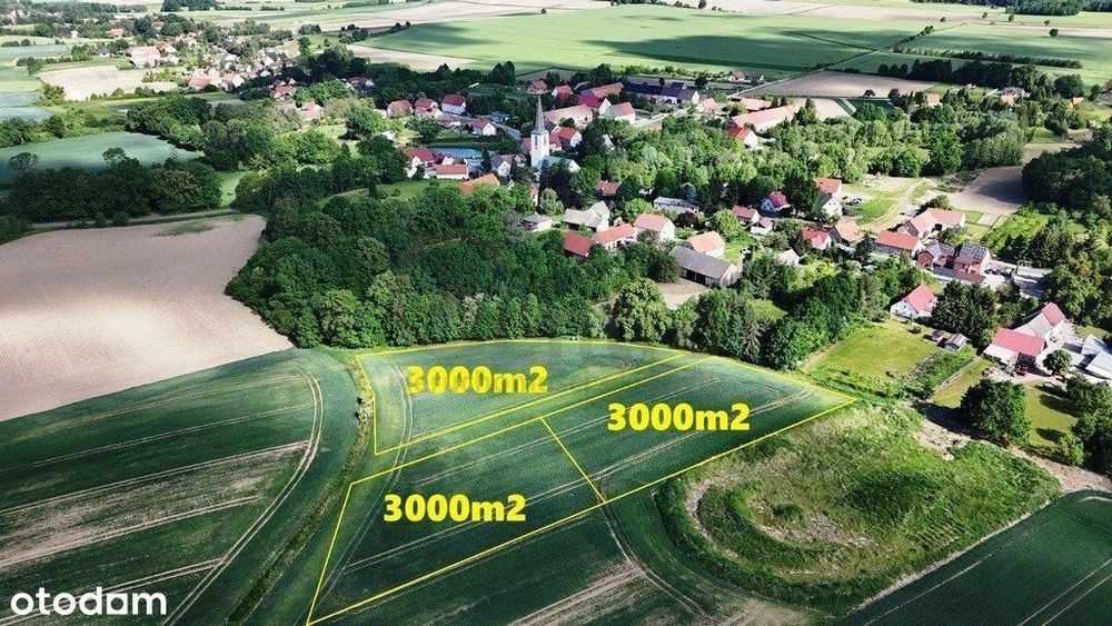 Trzy działki zagrodowe- każda po 30 arów! - Widok 2