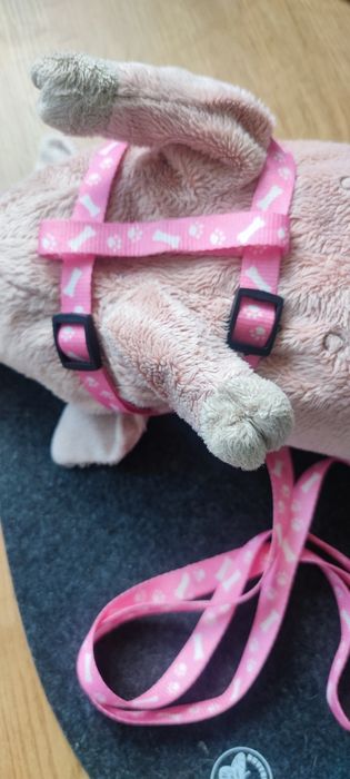 Szelki +smycz dla kota