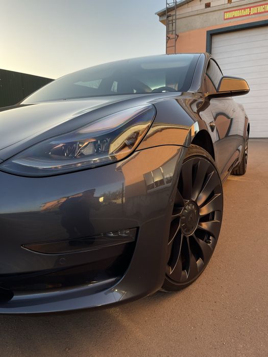 Tesla model 3 Perfomance 2021/08 rest