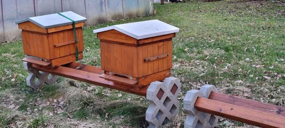 Ule wielkopolskie z rodzicami pszczoły  pasieka  Łyson drewniane Dyrda