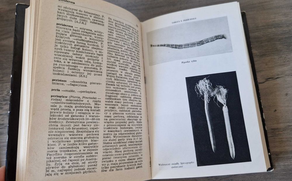 Mały słownik zoologiczny Bezkręgowce stan bdb