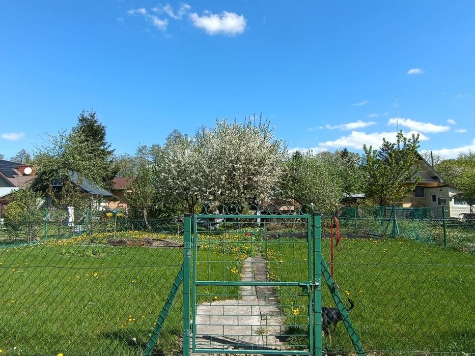 Sprzedam ogródek działkowy