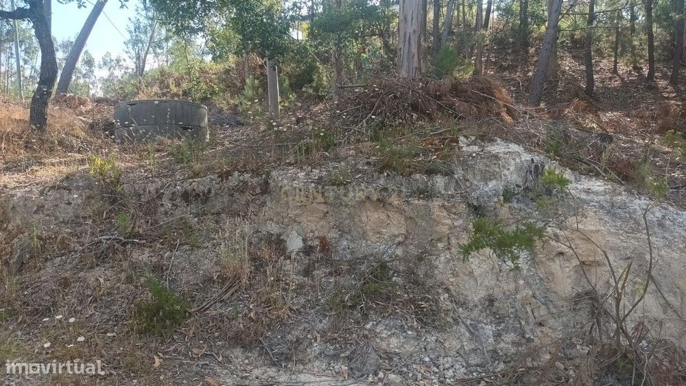 1,850 m² Plot || Arrabal