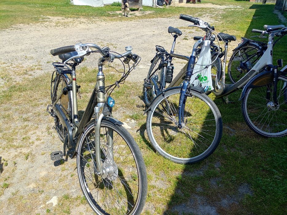 Rower holenderski SPARTA, BATAVUS, GIANT, KOGA