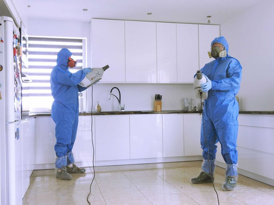 Ozonowanie /usuwanie zapachów  / ANTYWIRUSOWA/Odgrzybianie ścian