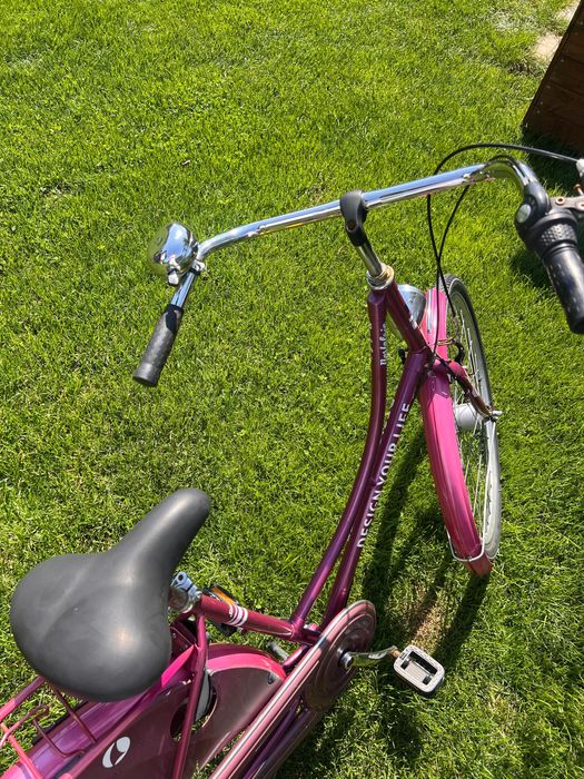 Rower miejski, typ holenderski