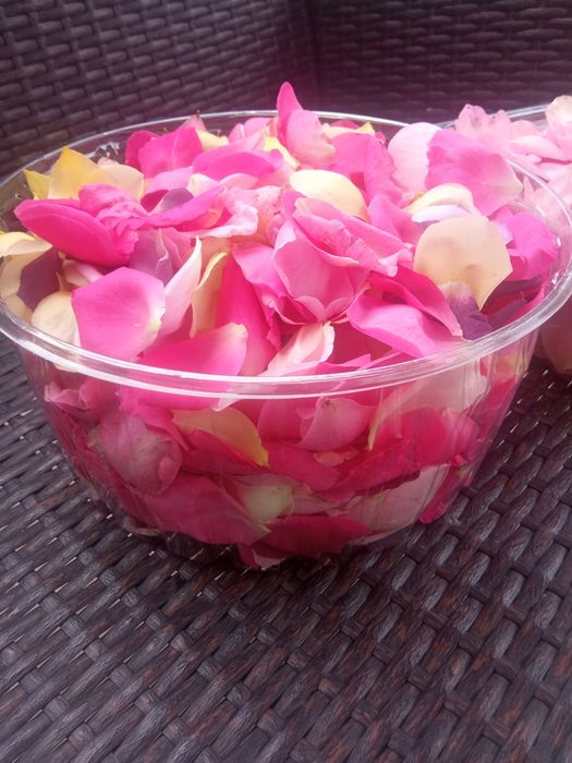 Лепестки свежей розы