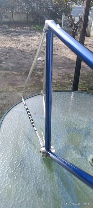 Quadro vitus  tamanho 58