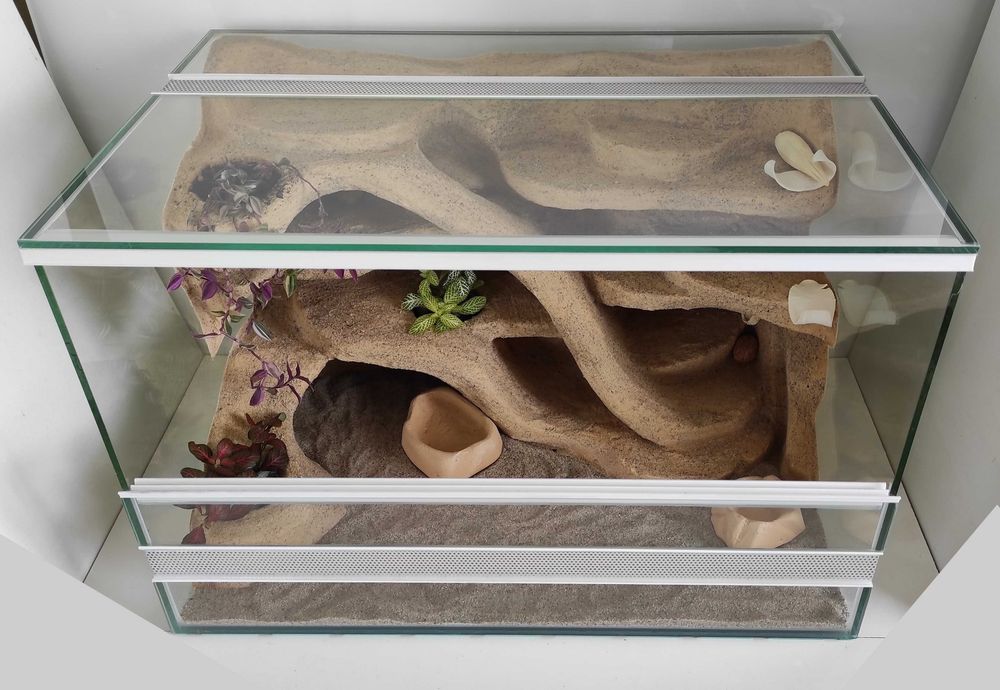 Terrarium 60x40x40 dla gekona lamparciego z wyposażeniem | Terrarium dla jaszczurki, heterodona i młodego węża TW10P2, AquaWaves