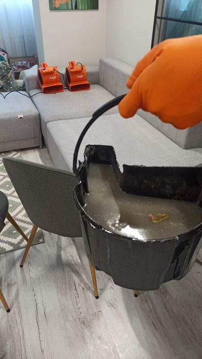 Хімчистка м'яких меблів та килимів на виїзд.