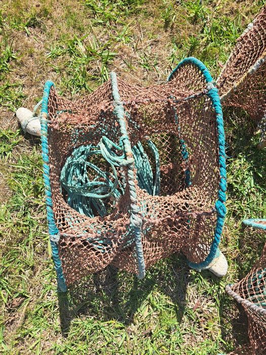 3 Armadilhas  Pesca