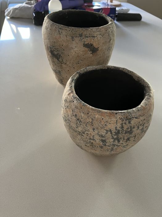Vasos de planta com textura