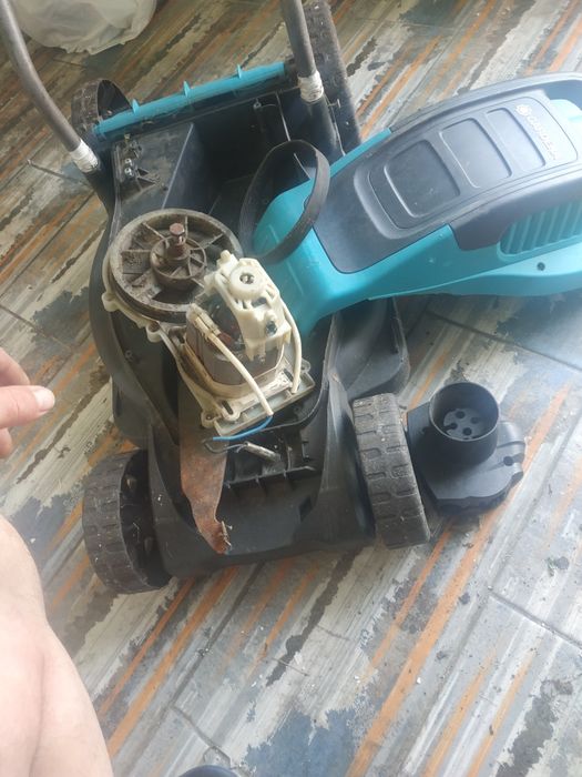 То что на фото деребан