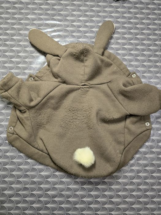 Одяг для собак різний