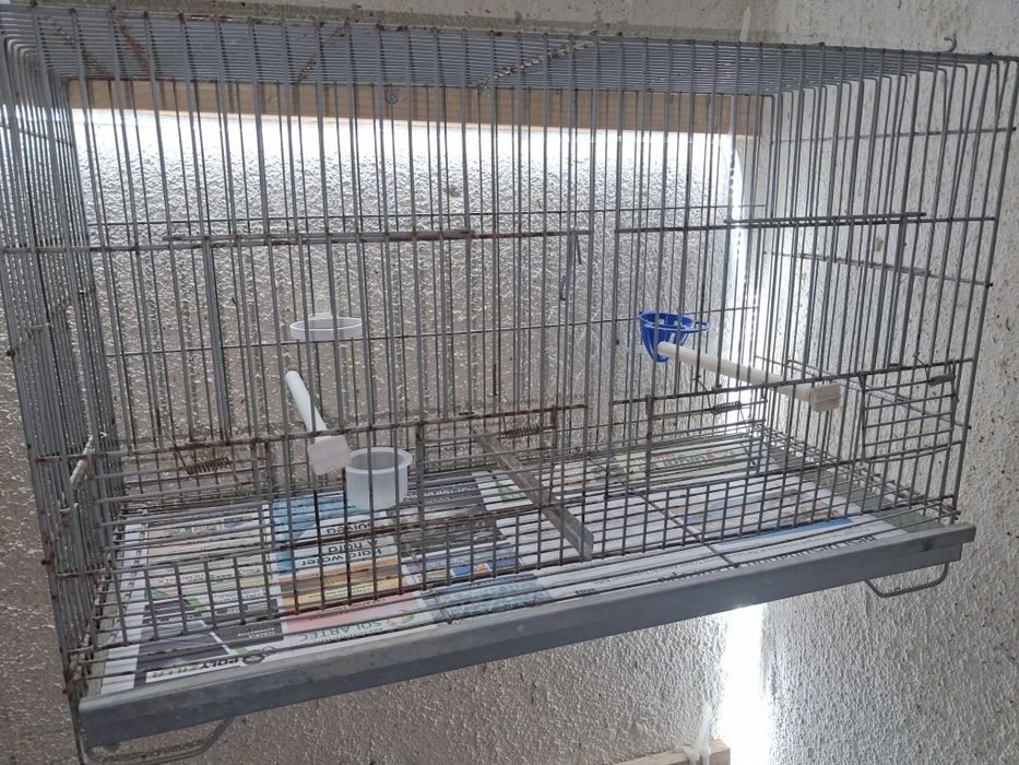 Vendo gaiolas  Bom preço