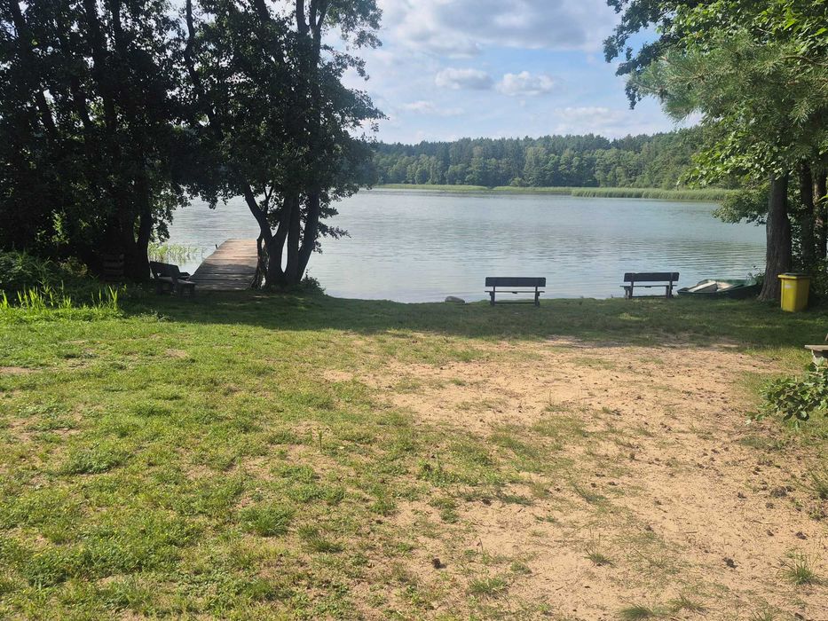 Działka leśna nad jeziorem - Widok 5