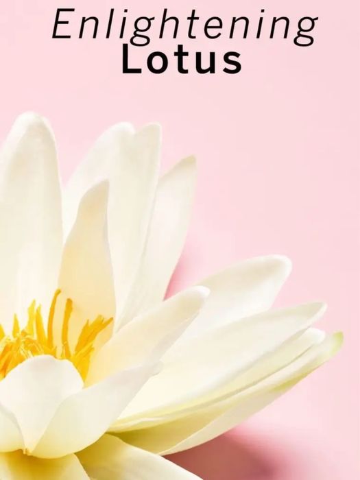 Сухий шампунь victoria's secret pomegranate & lotus