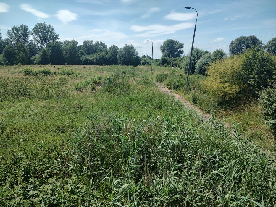 Działka przemysłowa na sprzedaż w Gronie Górnym Elbląg