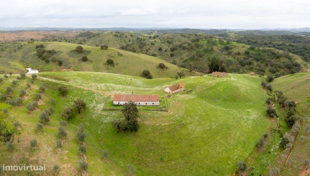 229 Hectares com 3 barragens em Odemira