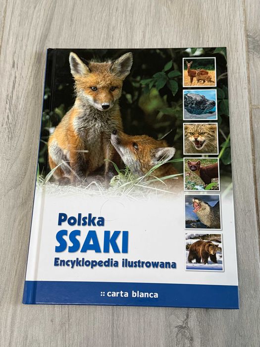 Polska. Ssaki. Encyklopedia ilustrowana dla dzieci książka