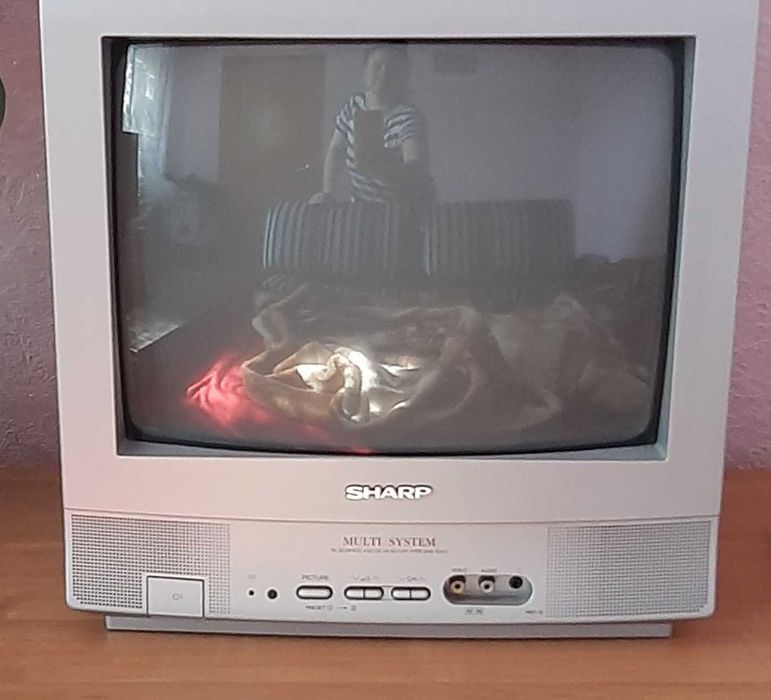 Телевизор Sharp 14D1-S.