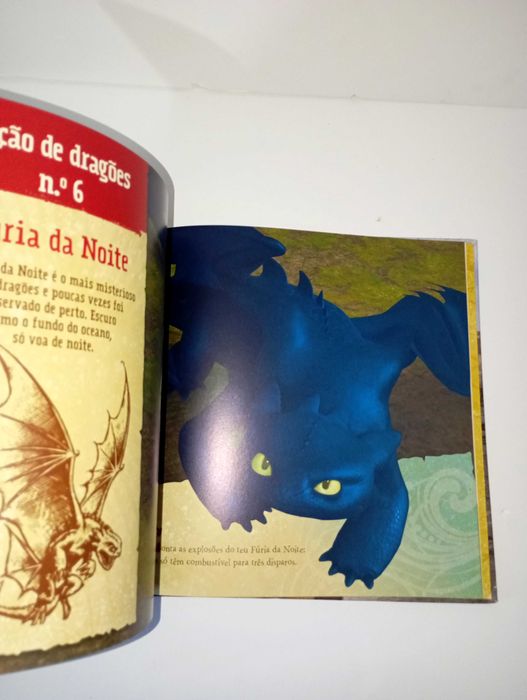 Guia de Bocarra para combater Dragões