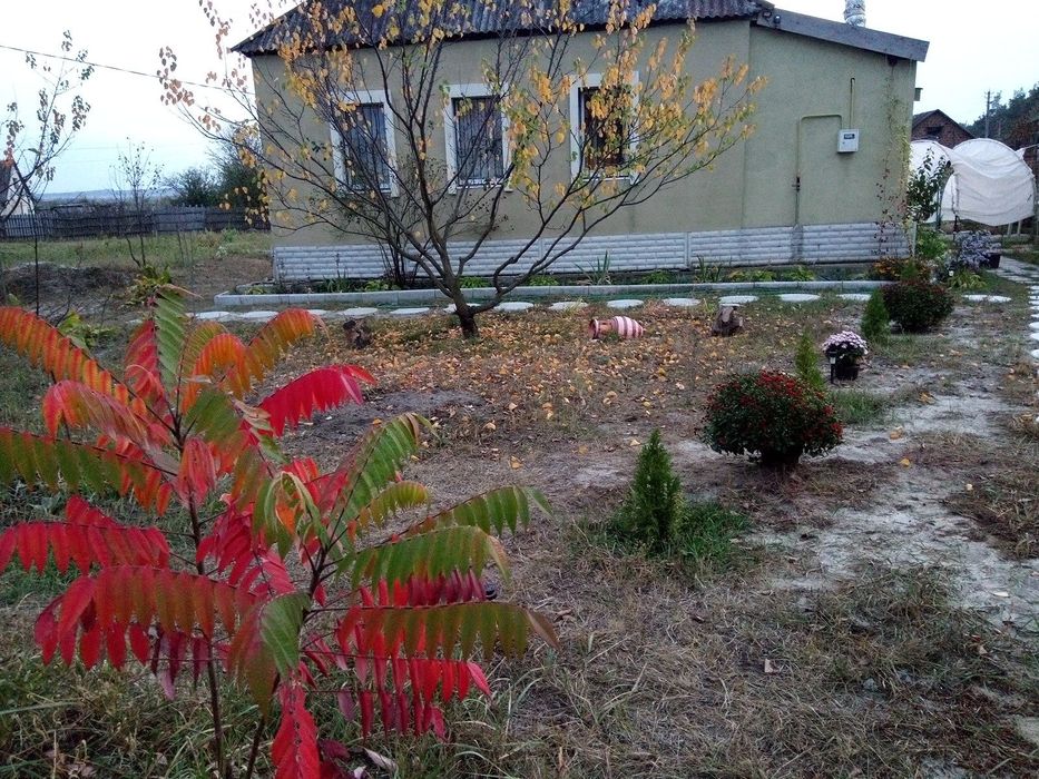 Домик в деревне у леса - с печкой, газом, бесперебойником!