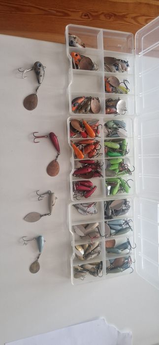 Wirujące ogonki, cykady