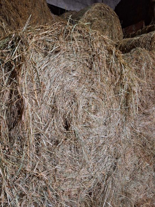 Sprzedam siano z pod dachu