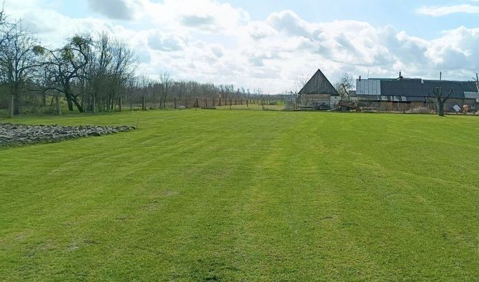 Прибирання території догляд за садом Колонщина Миколаївка Бузова