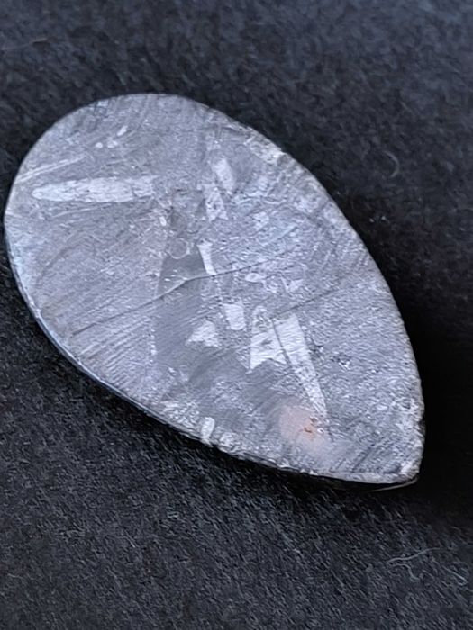 Fóssil de Orthoceras em mármore preto polido.