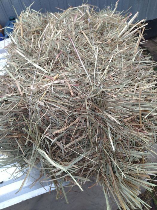Продам солому ячну в тюках. Сіно/сено/ лугове .