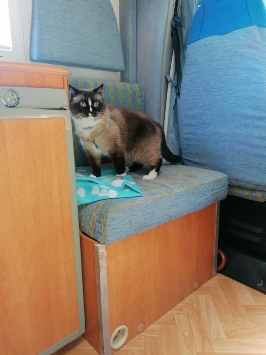 Vendo autocaravana fiat ducato 2007 km 112000