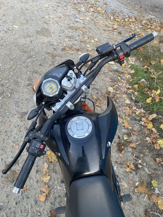 Motoleader Ml250