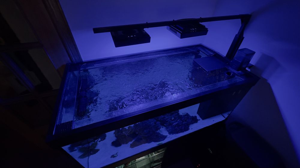 Aquário completo, com sump e material (na garantia)