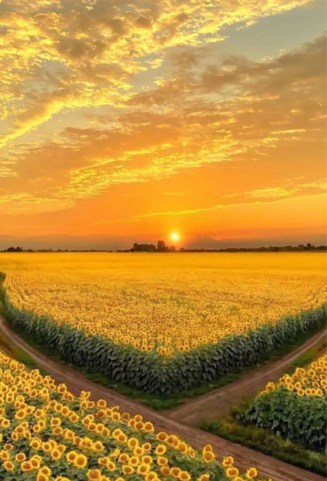 Продам участок в «Дайберге»