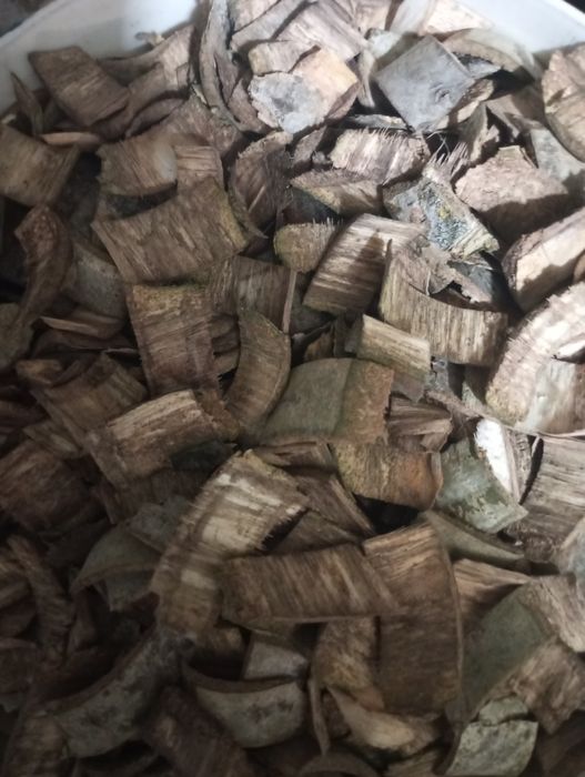 Кора осики ( кора осины)