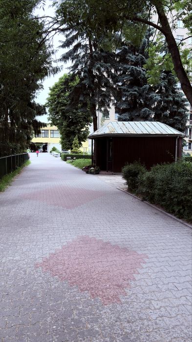 Warzywniak, kiosk. Dochodowy biznes. Krowodrza.