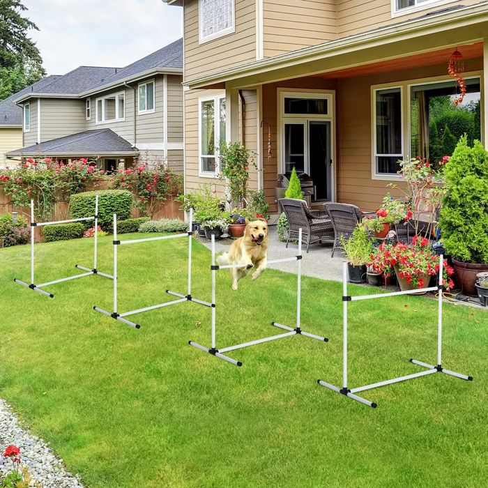 Conjunto de Treinamento de Agilidade para Cães Animais de Estimação 4